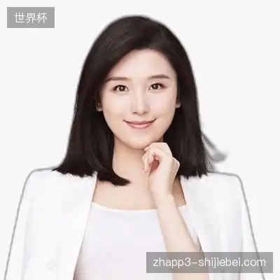 韩飞